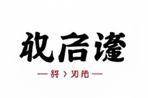 楼顶菜园里整齐码放的采收蔬菜